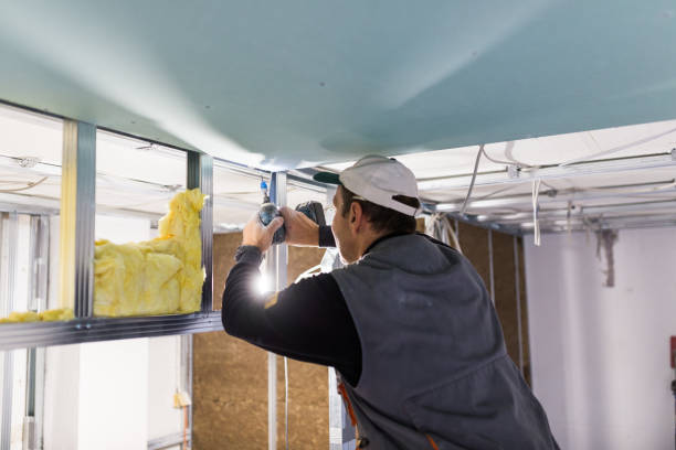 Best Residential Insulation Services  in Franklinton, NC
