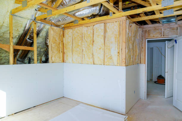 Best Insulation Replacement Services  in Franklinton, NC