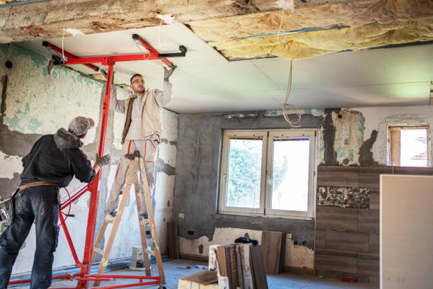 Best Insulation Replacement Services  in Franklinton, NC