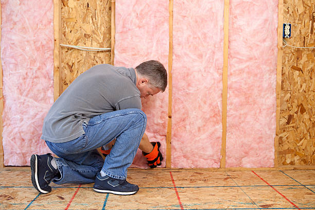 Best Insulation Removal  in Franklinton, NC