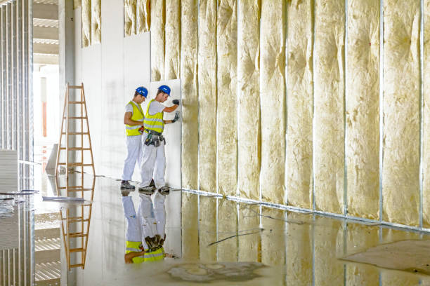 Best Soundproof Insulation Installation  in Franklinton, NC